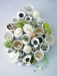 Verschiedene Blumen und Pflanzen in Gefaessen  Variety of vessels with plants and flowers 